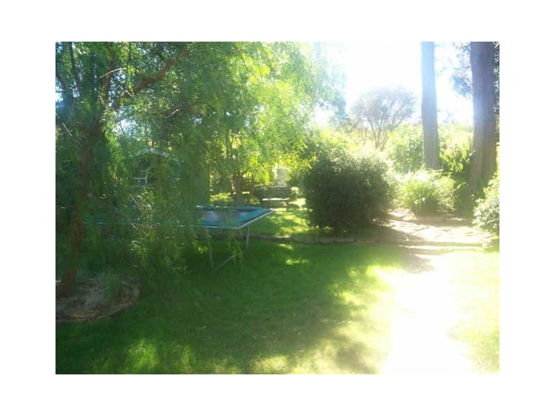 39 Anderson Road, Northmead NSW 2152