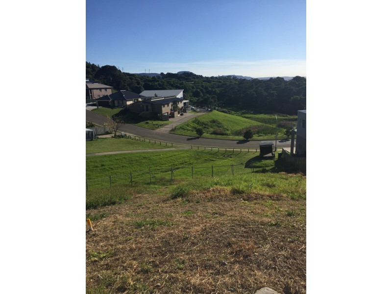 58 Whimbrel ave, Lake Heights NSW 2502