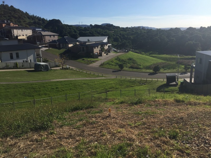 58 Whimbrel ave, Lake Heights NSW 2502