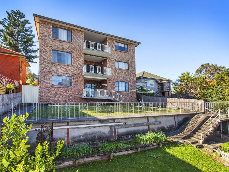 36 Buena Vista Aveue, Lake Heights NSW 2502