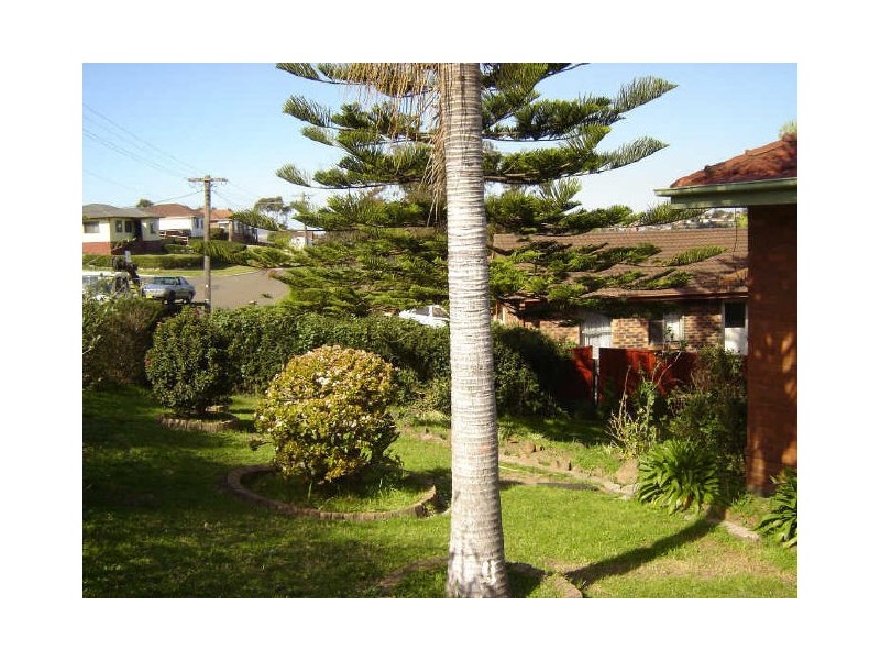 34 Jackson Avenue, Warrawong NSW 2502