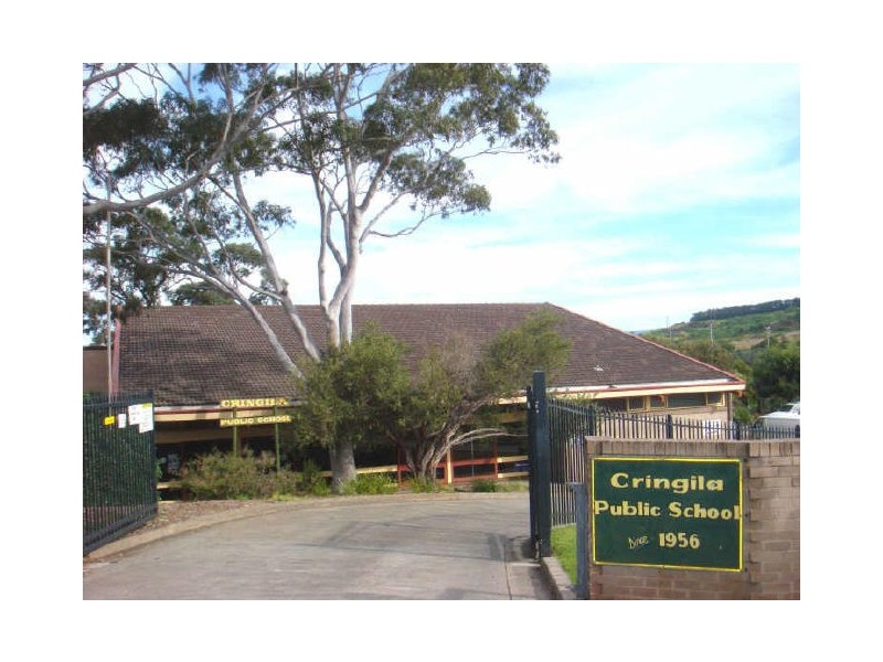 7 Lackawanna Street, Cringila NSW 2502