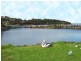 17 First Avenue South, Warrawong NSW 2502