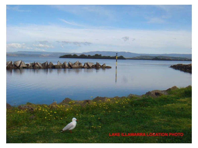 43 Denniss Street, Berkeley NSW 2506