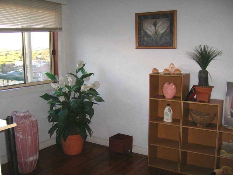 58 Lake Avenue, Cringila NSW 2502
