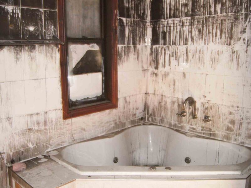 11 Cornwell Place, Berkeley NSW 2506