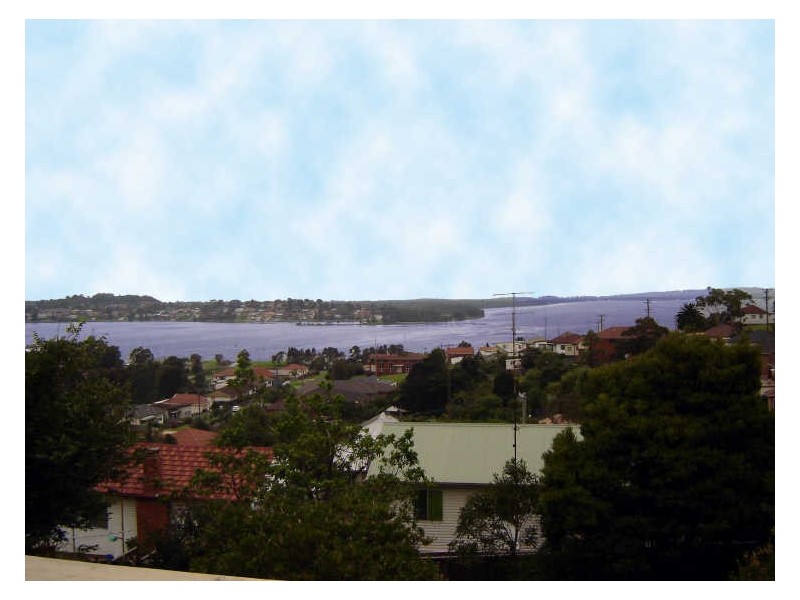 9 Trevor Ave, Lake Heights NSW 2502