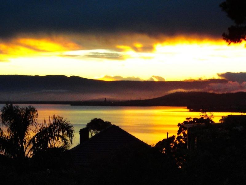 16 Buena Vista Avenue, Lake Heights NSW 2502