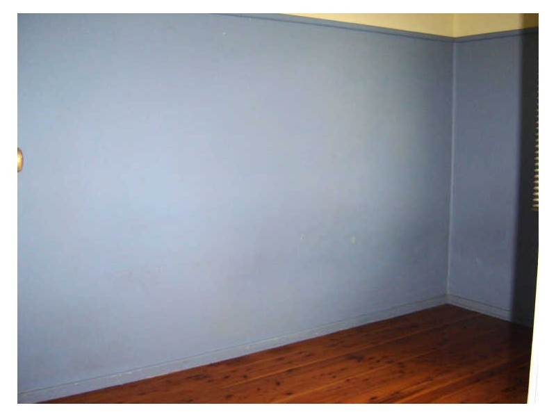 43 Denniss Street, Berkeley NSW 2506