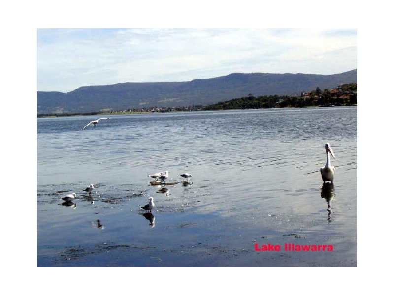 23 Barbara Avenue, Warrawong NSW 2502