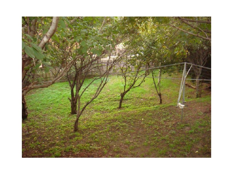 41 Lake Avenue, Cringila NSW 2502