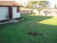 83 Gladstone Avenue, Wollongong NSW 2500