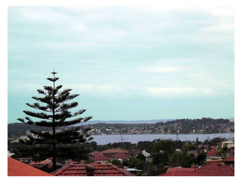 62 First Avenue North, Warrawong NSW 2502