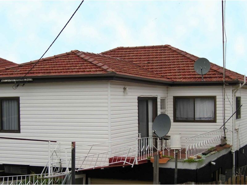 19 Dorman Street, Cringila NSW 2502