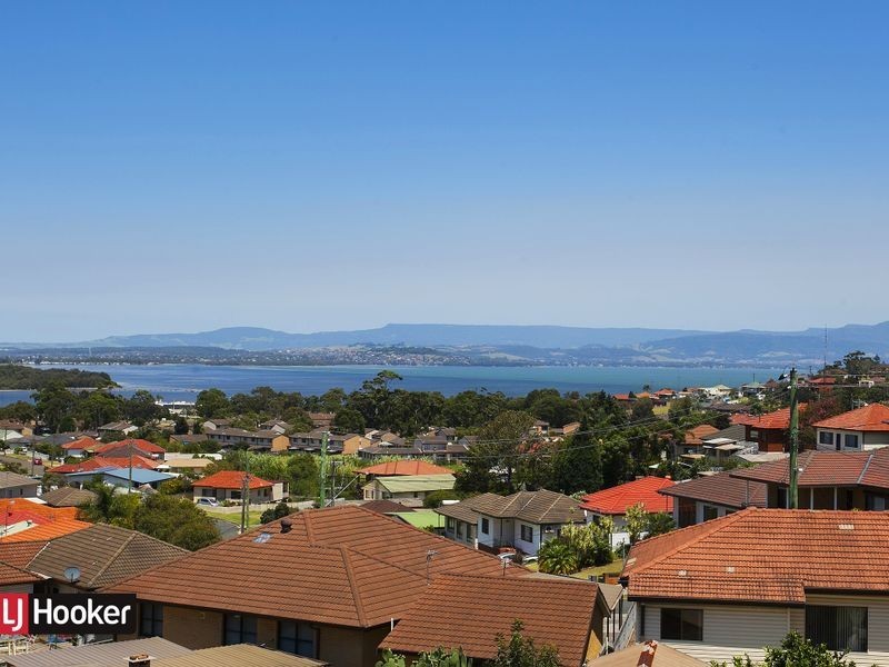 10 Wilma Avenue, Warrawong NSW 2502