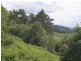 715 Wattamolla Road, Wattamolla NSW 2535