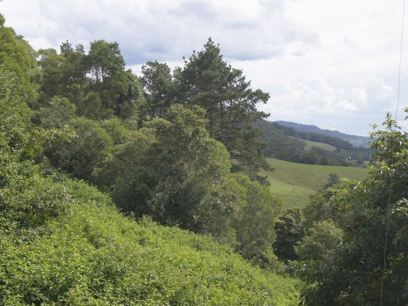715 Wattamolla Road, Wattamolla NSW 2535