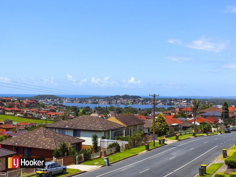 46 Weringa Avenue, Lake Heights NSW 2502