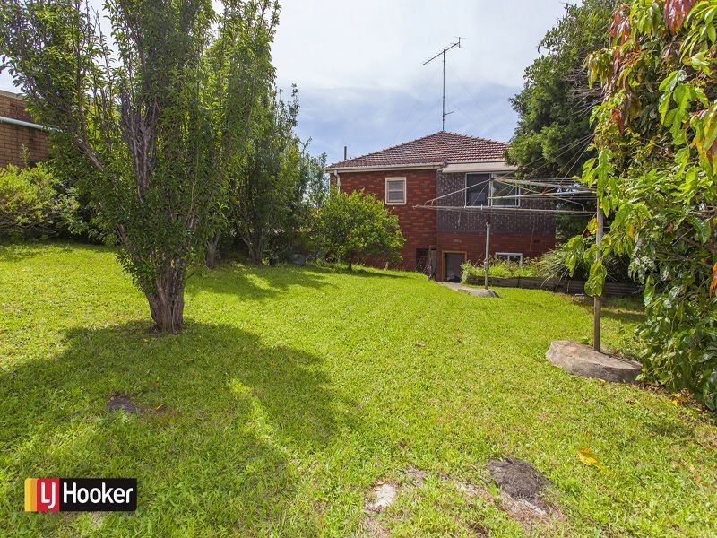 46 Weringa Avenue, Lake Heights NSW 2502