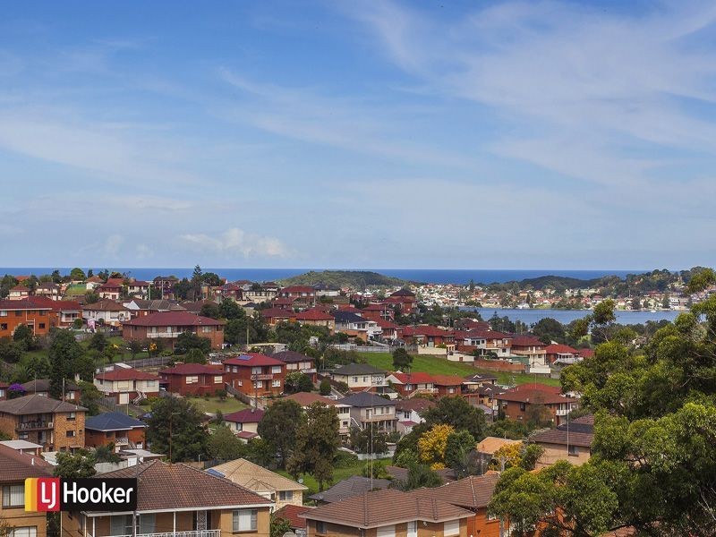 27 Weringa Avenue, Lake Heights NSW 2502