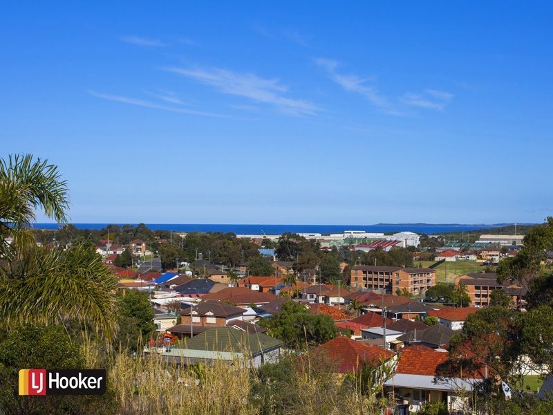 39 Robertson Street, Port Kembla NSW 2505