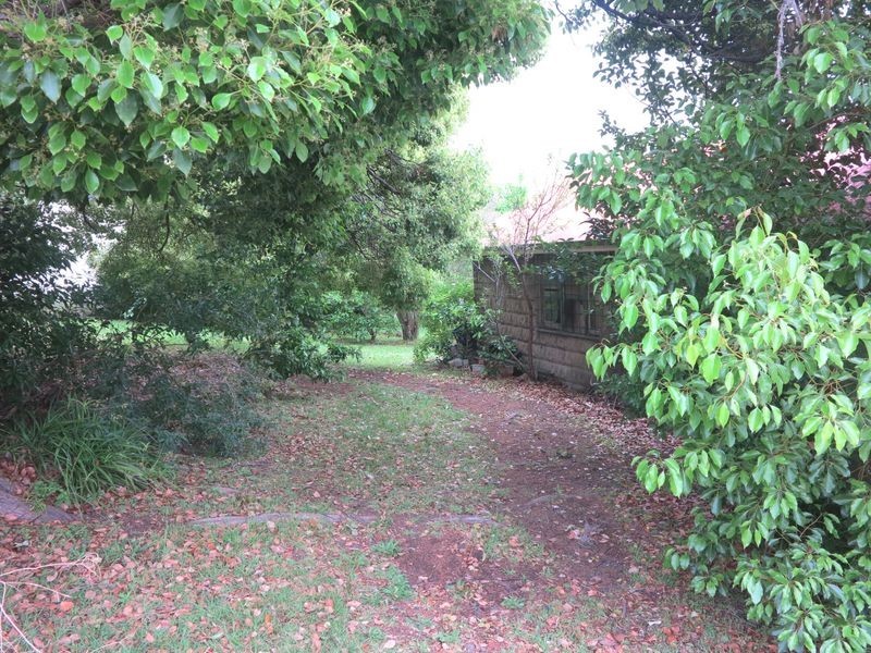 31 Horne Street, Port Kembla NSW 2505