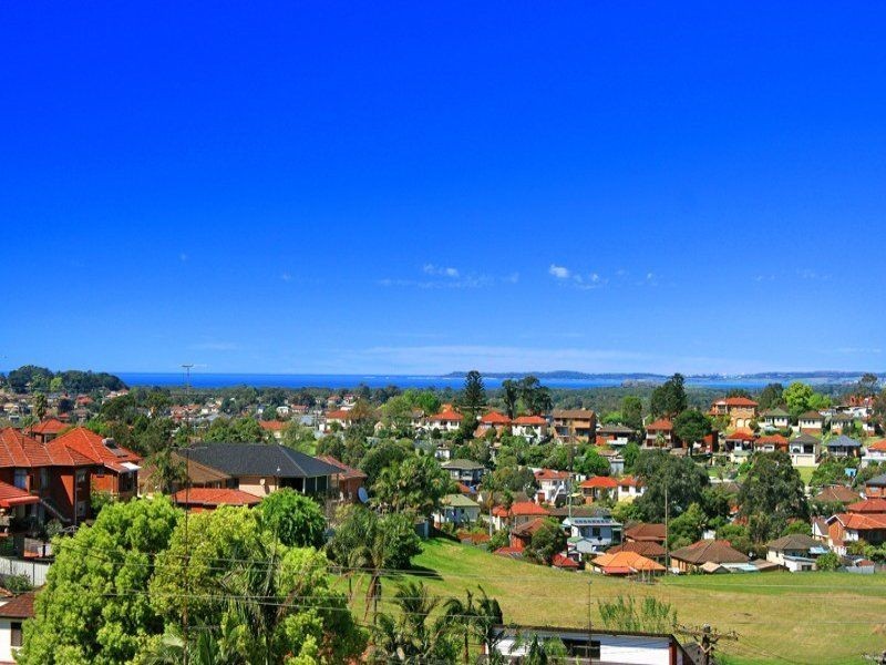 24 Karrabah Crescent, Lake Heights NSW 2502