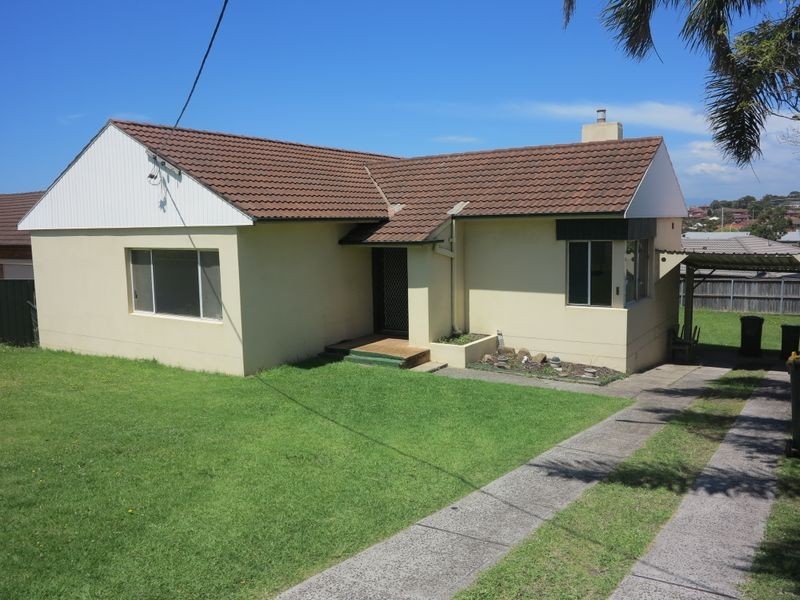 48 Shellharbour Road, Port Kembla NSW 2505