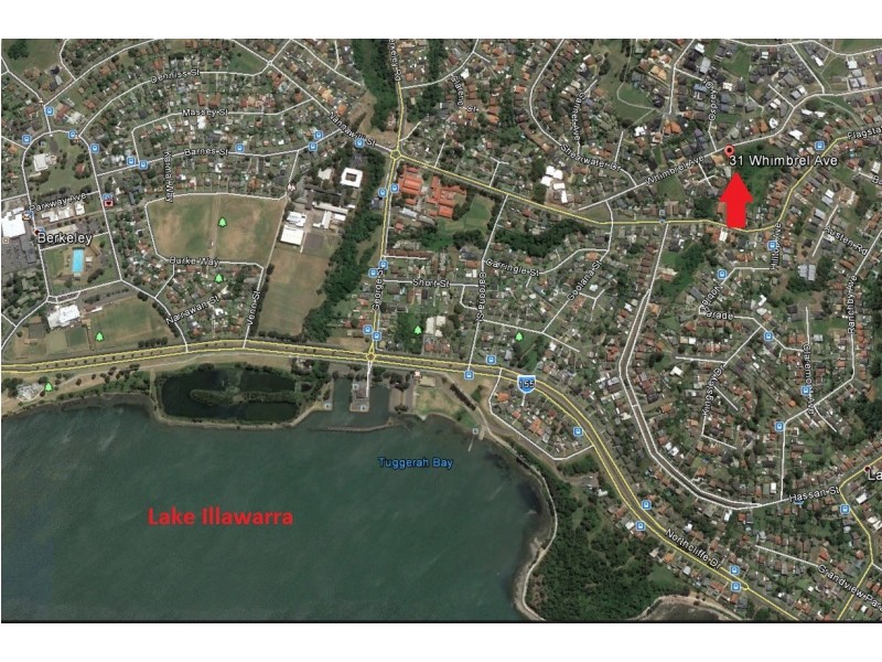 31 Whimbrel Avenue, Berkeley NSW 2506