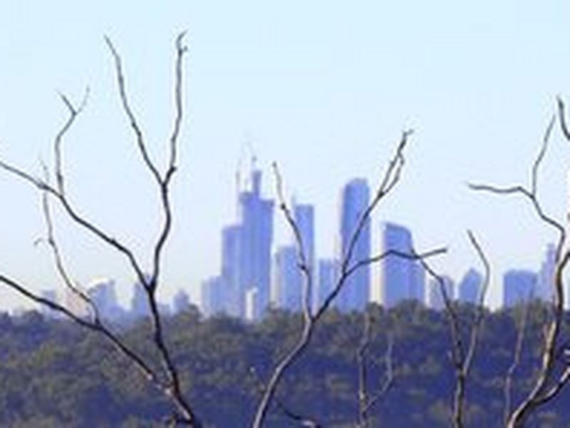 31 Salvado Drive, Pacific Pines QLD 4211