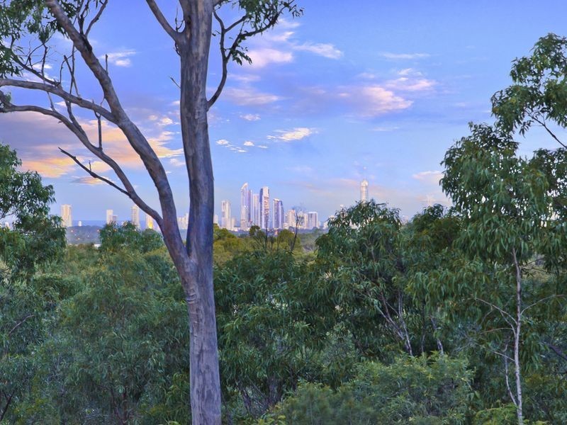 41A Castle Hill Drive, Gaven QLD 4211