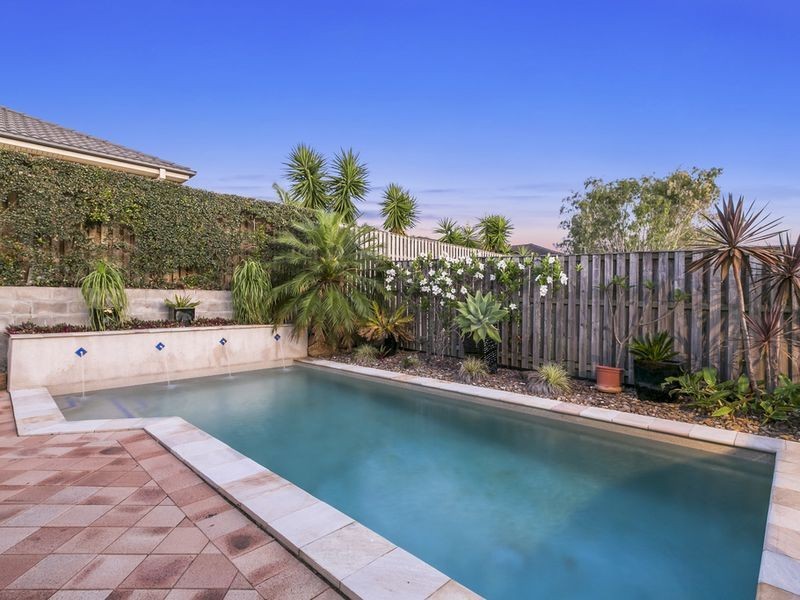 16 Ainslie Street, Pacific Pines QLD 4211