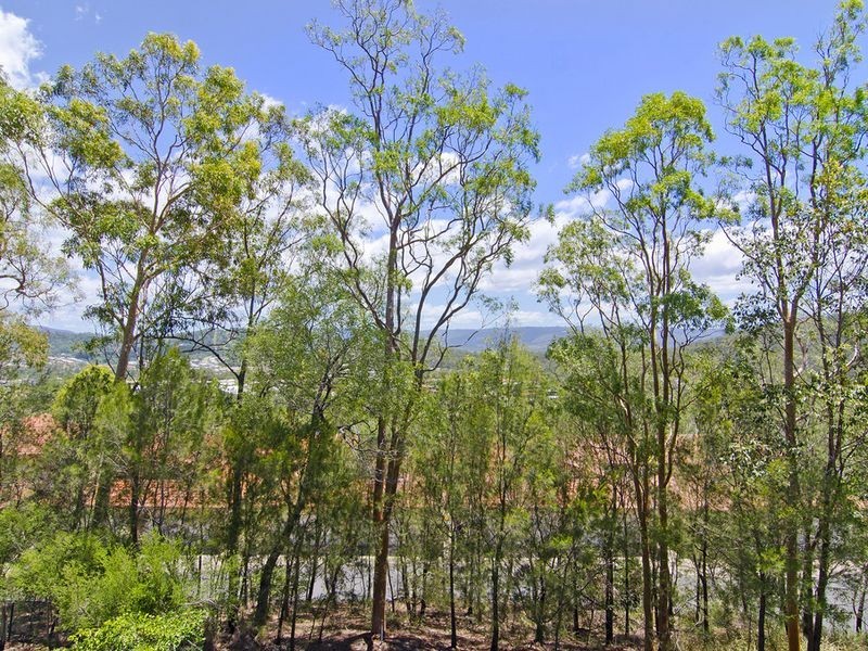 36 Crestridge Crescent, Oxenford QLD 4210