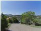 14 Buffalo Crescent, Pacific Pines QLD 4211