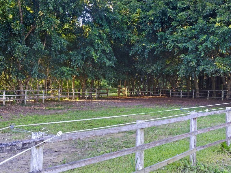 4 Springfield Street, Upper Coomera QLD 4209