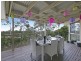 33 Midway Terrace, Pacific Pines QLD 4211