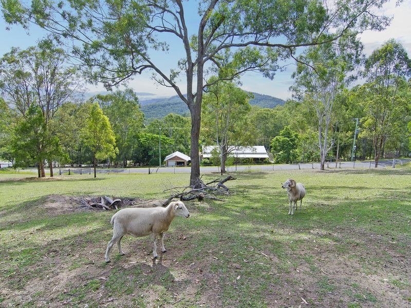 1 Lawson Court, Canungra QLD 4275