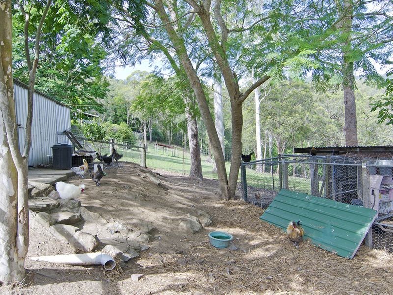 1 Lawson Court, Canungra QLD 4275