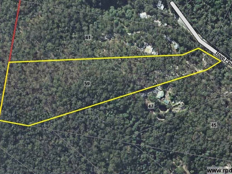 59 Hoop Pine Court, Advancetown QLD 4211