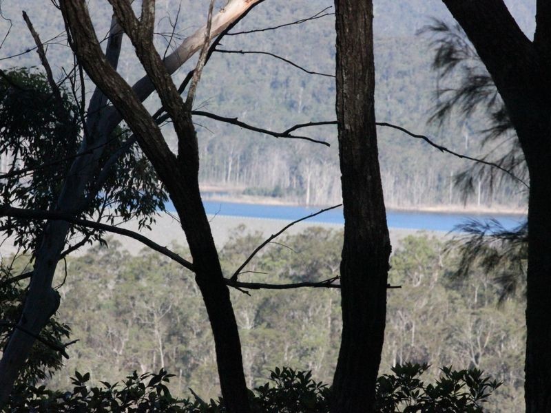 59 Hoop Pine Court, Advancetown QLD 4211