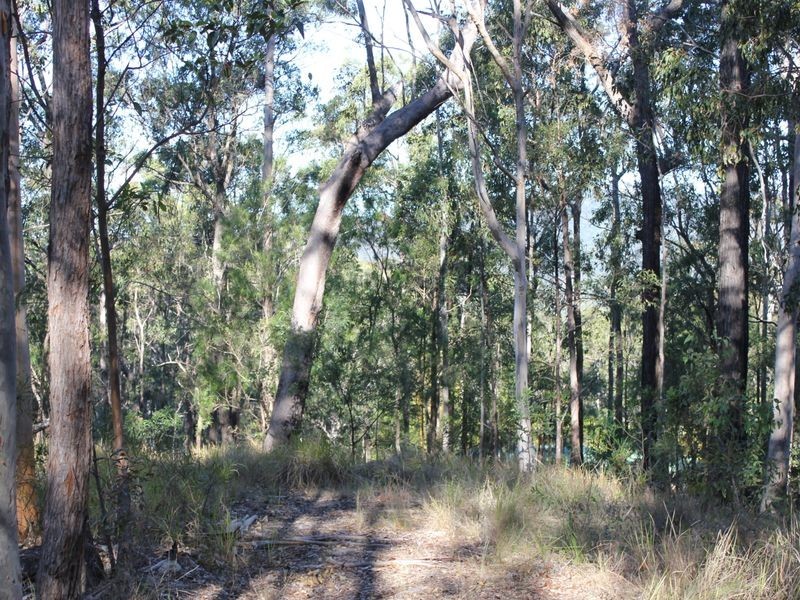 59 Hoop Pine Court, Advancetown QLD 4211