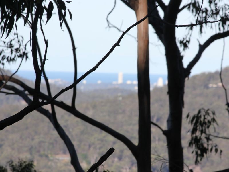 59 Hoop Pine Court, Advancetown QLD 4211