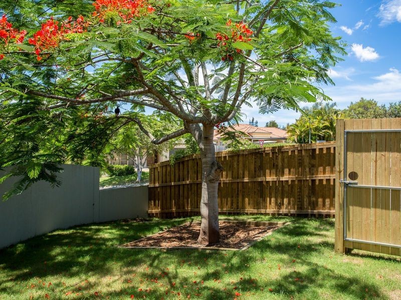 2/1 Riverwood Drive, Ashmore QLD 4214