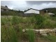 5 Oconnor Place, Upper Coomera QLD 4209