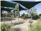 8 Argus Place, Pacific Pines QLD 4211