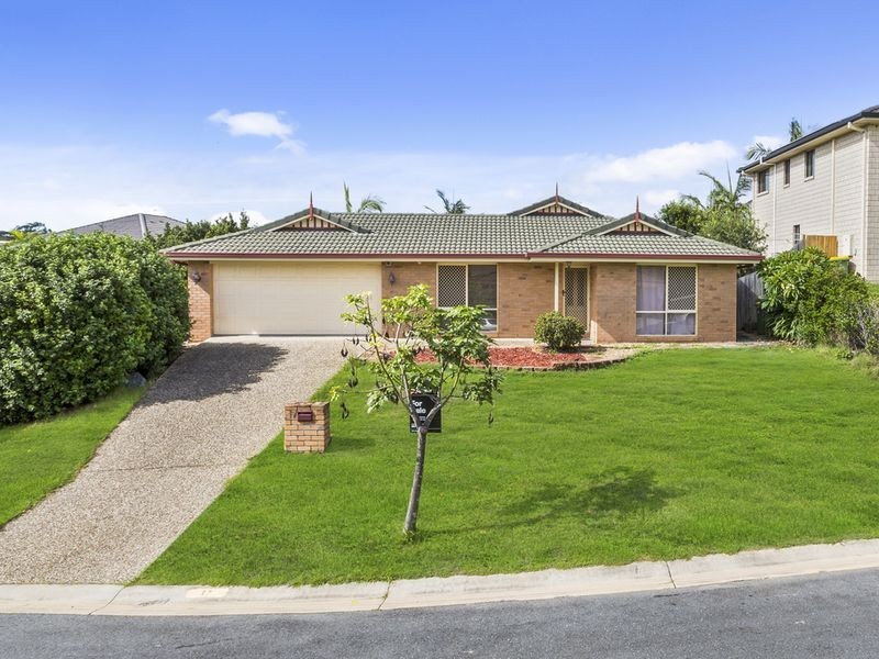 17 Palm Street, Pacific Pines QLD 4211