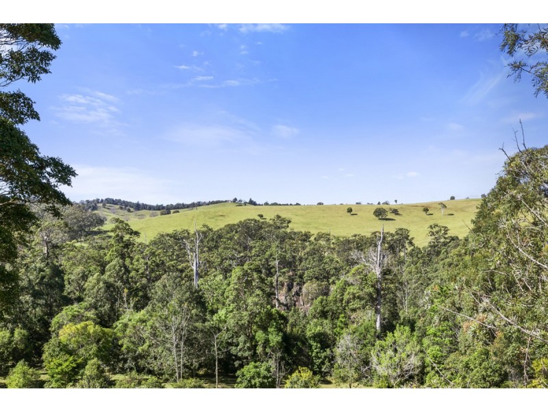 31 Doomben Court, Beechmont QLD 4211