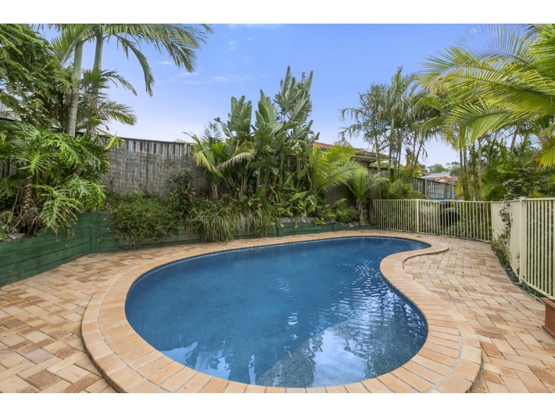 41 Nandi Terrace, Pacific Pines QLD 4211
