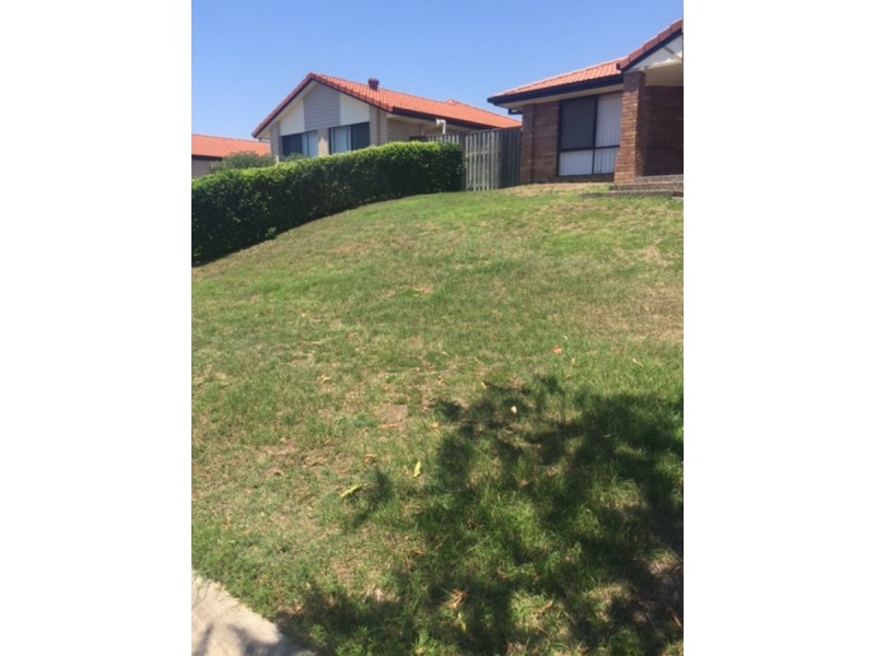 17 Duice Court, Oxenford QLD 4210