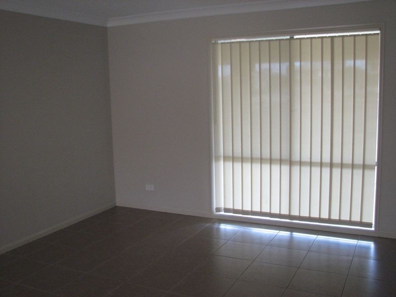 14 Elkins Street, Pacific Pines QLD 4211